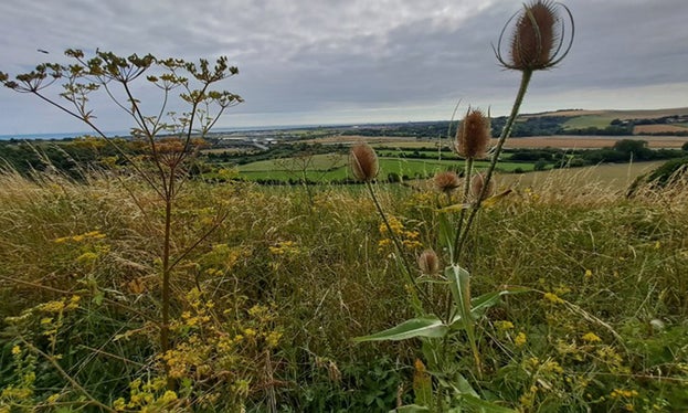 A photo of a view on the South Downs